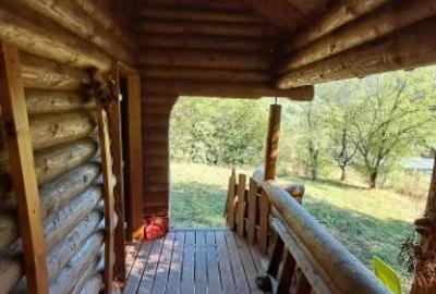 Vand cabana Valea Ariesului - 2
