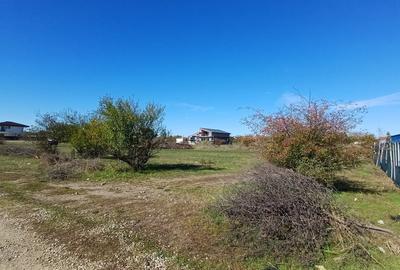 Corbeanca - Tamasi | Teren 937mp, deschidere 33ml | Utilitati in proximitate - 12