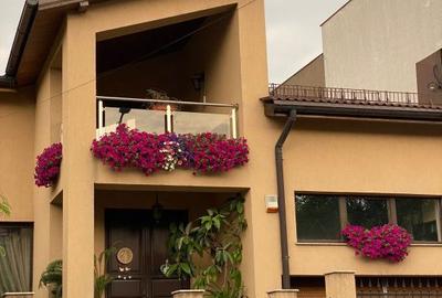 Casă cu 7 camere cu Teren 428 Mp în Central