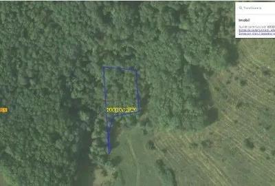 Teren Filipeni, Padure, ID: R2388722 - 6
