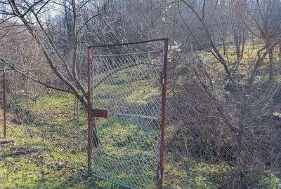 Teren de 1800 mp, în Ciclova Română - 7