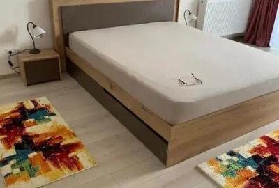 Apartament o camera Sagului - 1