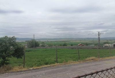 Casă cu 4 camere cu Teren 3046 Mp în Zebil - 3