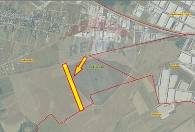 Teren Construcții intravilan de 49666 mp, în Ciorogârla - 5