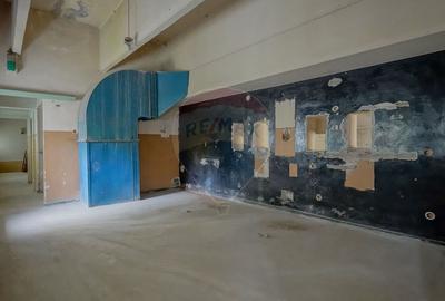 Spațiu industrial, de 973 mp, în Electroprecizia - 11