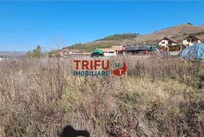 Teren de vanzare 1100 mp in comuna Ciugud cu utilitati - 2