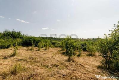 Teren de 1200 mp, în Paleu - 15