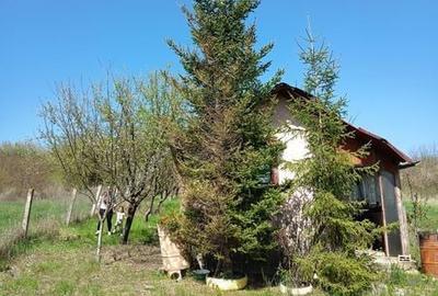 Teren de 1700 mp, în Săndulești