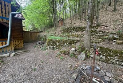 Casă individuală cu 5 camere cu Teren 900 Mp în Ighiel - 12