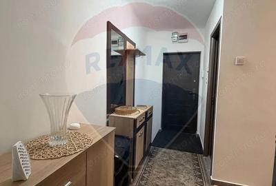 Garsoniera decomandata de inchiriat- Valea Rosie - 3