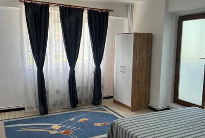 Apartament 2 camere Fratii Golesti - 2