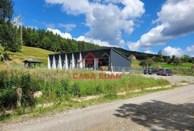 Casă cu 6 camere cu Teren 2020 Mp în Câmpina - 11