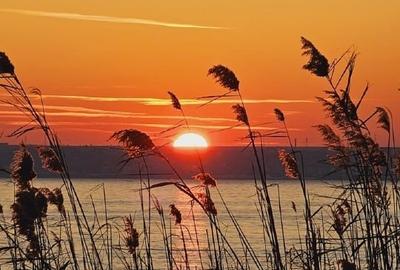 # Vand Teren Intravilan, Fix Pe Malul Lacului (deschidere 25ml), in Eforie Sud # Vand Teren Intravilan, Fix Pe Malul Lacului (deschidere 25ml), in Eforie Sud - 1