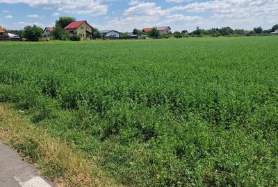 Teren intravilan in suprafata de 9.500 mp – Bolintin-Deal - 3
