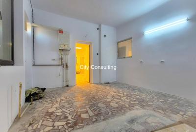 Inchiriere casa Spatiu Comercial Calea Ferentari - 2