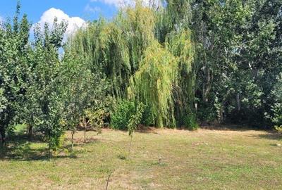 Casă cu 5 camere cu Teren 1000 Mp în Murighiol - 7