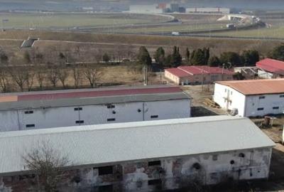 Spațiu comercial, în Central - 2
