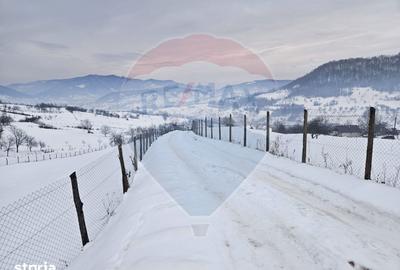 Teren de 4301 mp, în Bârsana - 5