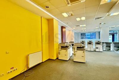 Birou, de 800 mp, în Chitila - 7