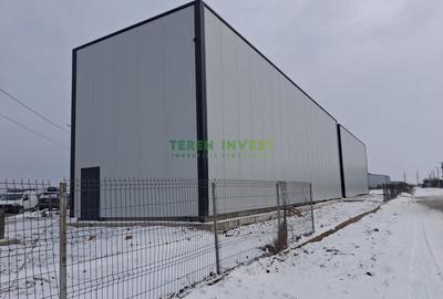 Hala de depozitare - zona Theodor Pallady - 15