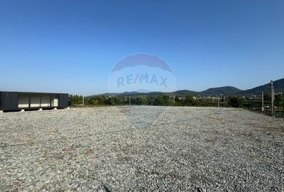 PLATFORMA DE INCHIRIAT parc auto, depozit de materiele - 6