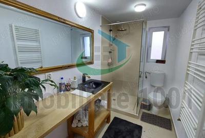 Satu Nou de Jos, casa cocheta, 5 camere, 3 bai, garaj dublu, suprafata 226 mp, teren 440 mp - 13