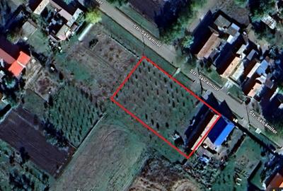 Teren cu livada si Casa veche in Șandra Teren cu livada si Casa veche in Șandra - 4