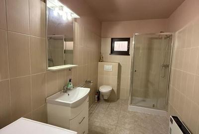 Casa individuala nemteasca in vatra satului 1900 euro/mp - Dumbravita - 5