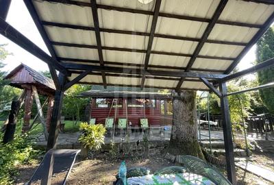 Teren de 2000 mp, în Sadu - 9