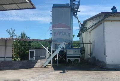 Spațiu comercial, de 2,500 mp, în Sângeorgiu de Pădure - 8