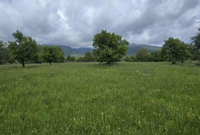 Teren intravilan - 2 minute de centru Prundu Bargaului - ... - 2