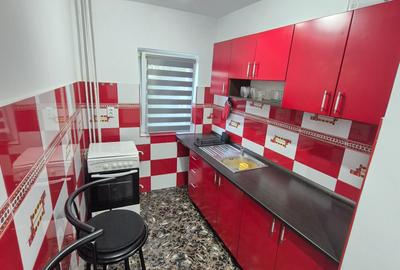 1 Cam-Sagului-5 Min Spitalul Judetean-Aer conditionat-Mobilat-33 MP- 65.000 Euro - 7