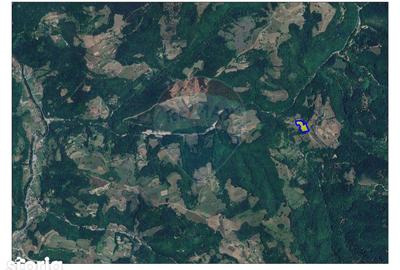 Teren de 10100 mp, în Bulz - 11