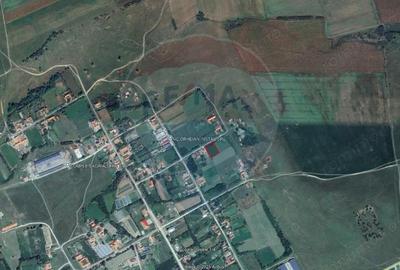 Teren de 1330 mp, în Drăgoiești - 4