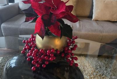 Inchiriez Apartament 2 camere, sector 1, langa Metrou, Baneasa - 3