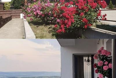 Apartament cu 3 camere decomandat în Bucium - 3