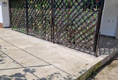 Casă cu 4 camere în Central - 2