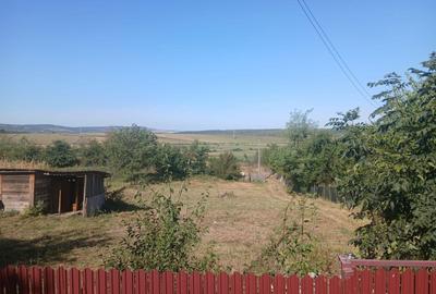 Spațiu comercial, în Ciurea - 1