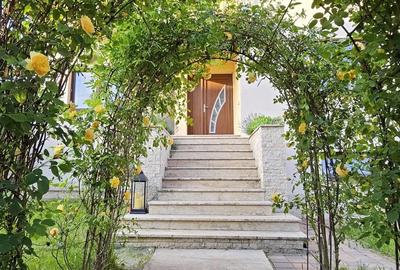 Proprietar inchiriez Casa SMART + Spa?iu Comercial Autorizat productie - 4