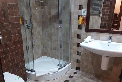 APARTAMENT 3 CAMERE, HOTEL ALPIN, POIANA BRASOV - 14
