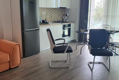 Apartament cu 2 camere decomandat, mobilat în Exterior Est - 8