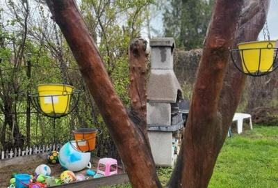 Proprietar vanzare casa zona Bogdanestilor - 8