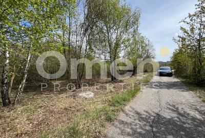Teren extravilan de 842 mp, în Berința - 1