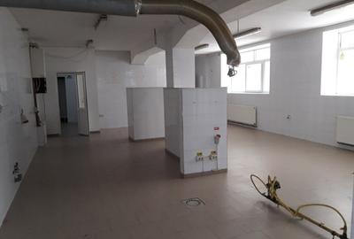 Spatiu catering 200 mp pozitionat in zona strazii Horea - 2