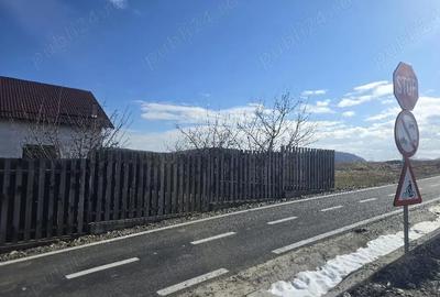 Teren de 3600 mp, în Central - 5