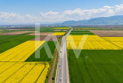 Teren agricol extravilan de 10600 mp, în Codlea - 3