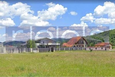 VANZRE-TEREN  - INTRAVILAN 650 mp deschidere 25 mp RASNOV -BRASOV - 2