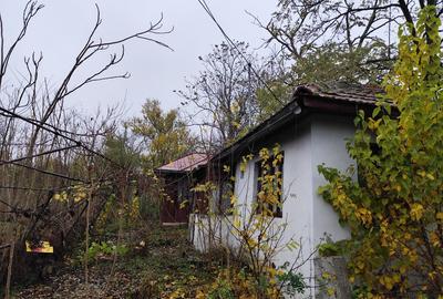 Casa batraneasca plus teren 1600mp Toporu jud. Giurgiu - 8
