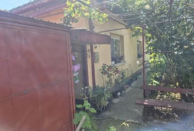 Casă cu Teren 489 Mp în Plopi - 8