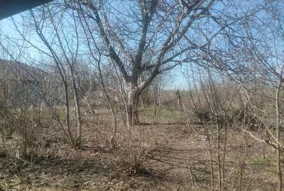 Vind casa batrineasca - 3